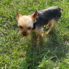 Jimmy Dean