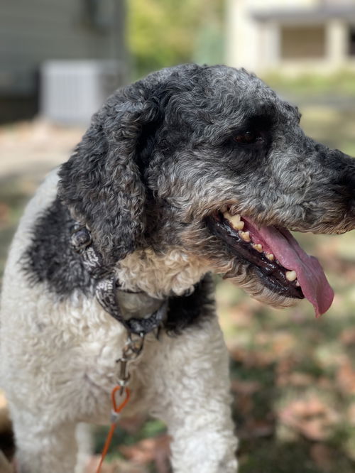 Jax