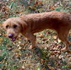Easton
