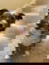 Zip