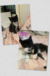 Riley