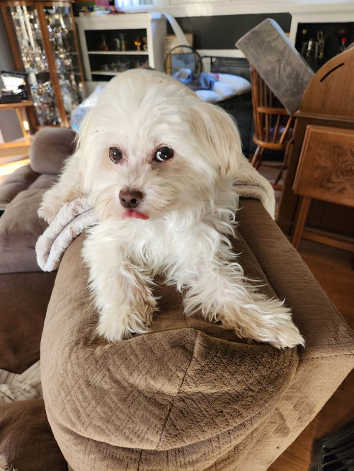 Ethel