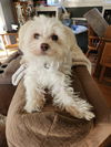 Lucy