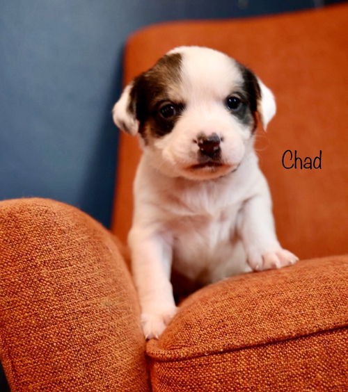 Chad