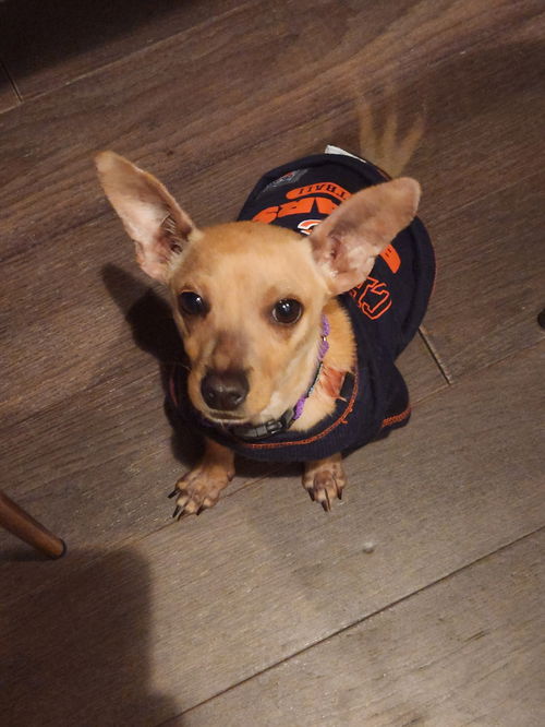 Benny