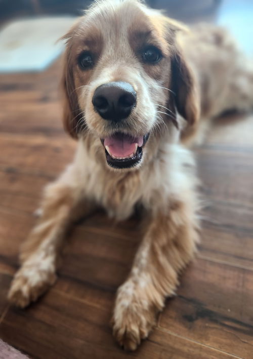 Tucker