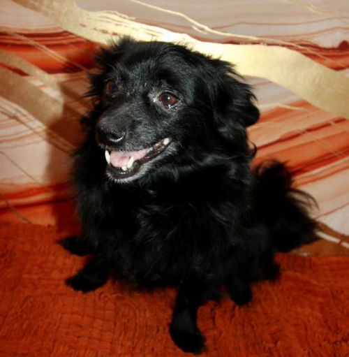 Abby