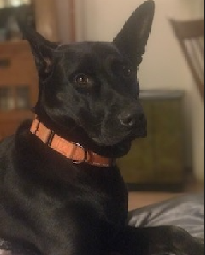 Layla