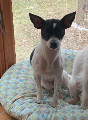 Luna May