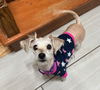 Winnie