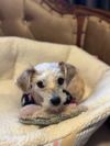 Winnie