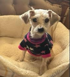 Winnie