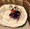 Winnie