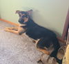 Romeo