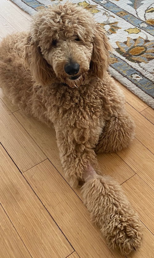 Marley