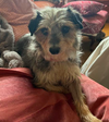 Peggy