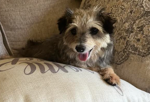 Peggy