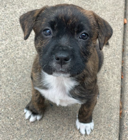 Esther