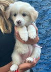 Winnie