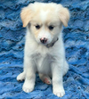 Winnie