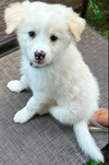 Winnie