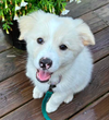 Winnie