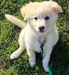 Winnie