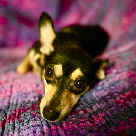 Maggie Marie