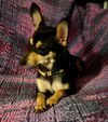 Maggie Marie