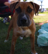Emmi