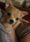 Maisie Mae