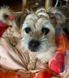 Wilbur