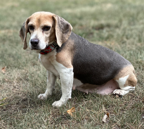 Ethel