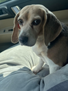 Ethel