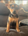 Georgia