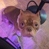 Sampson