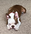Jax