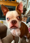 Jax