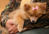 Mable