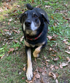 Maggie