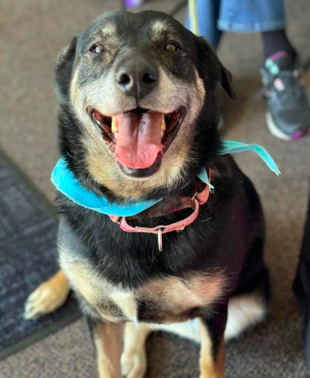 Maggie