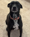 Emmie