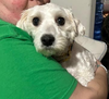 Rosie