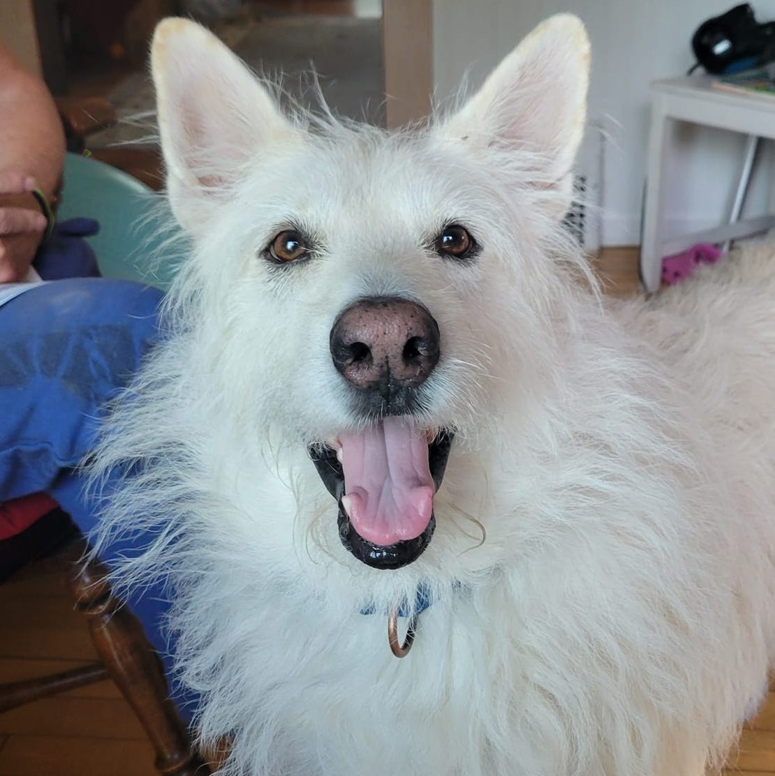 Polar