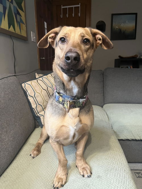 Mateo