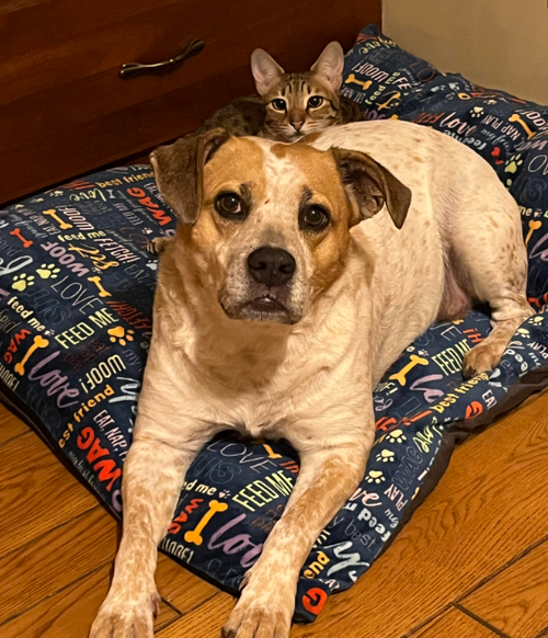 Rosie Lou