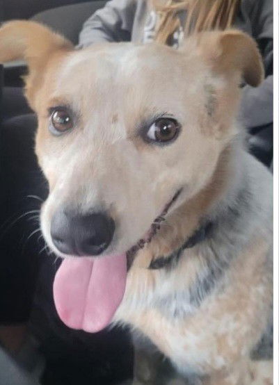 Charlie