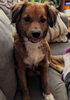 Georgia