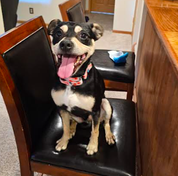 Chico