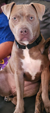 Basie